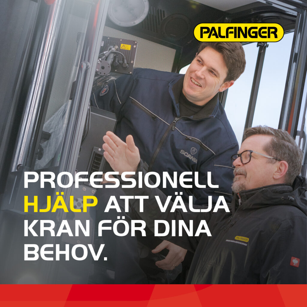 Palinger-Profesionell hjälp-1080x1080